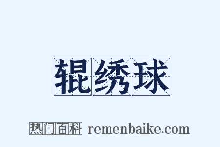 辊绣球是什么意思的图片